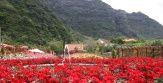 Madeira