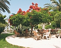 egypt-egypt-hurghada-hurghada-geisum-village-3