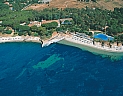 Is Morus