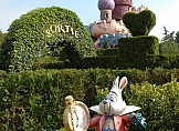 Disneyland plnými doušky - hotel Sequoya