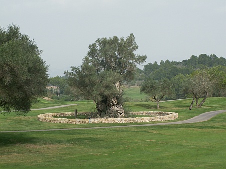 Son Muntaner Golf Course