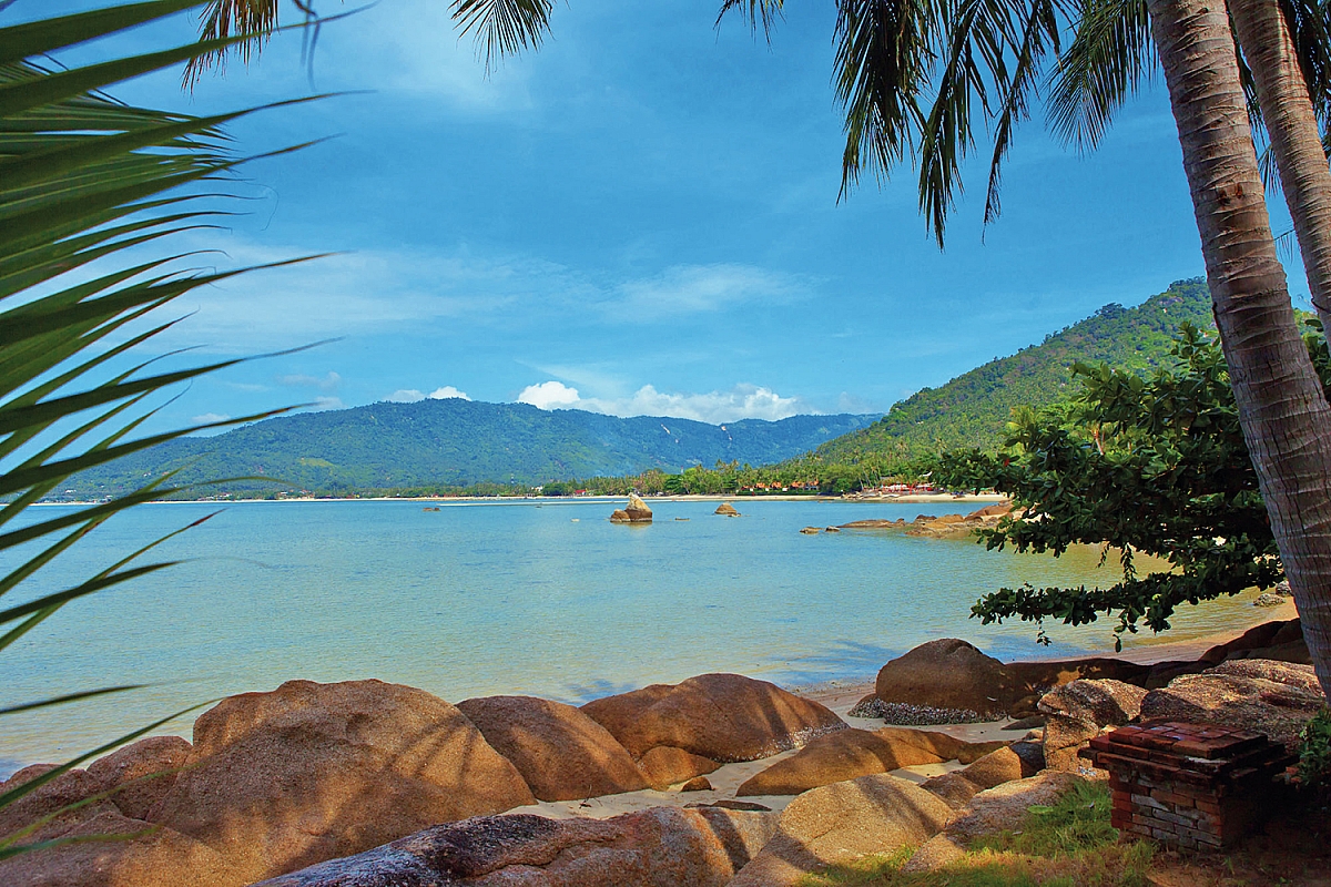 Single frauen koh samui