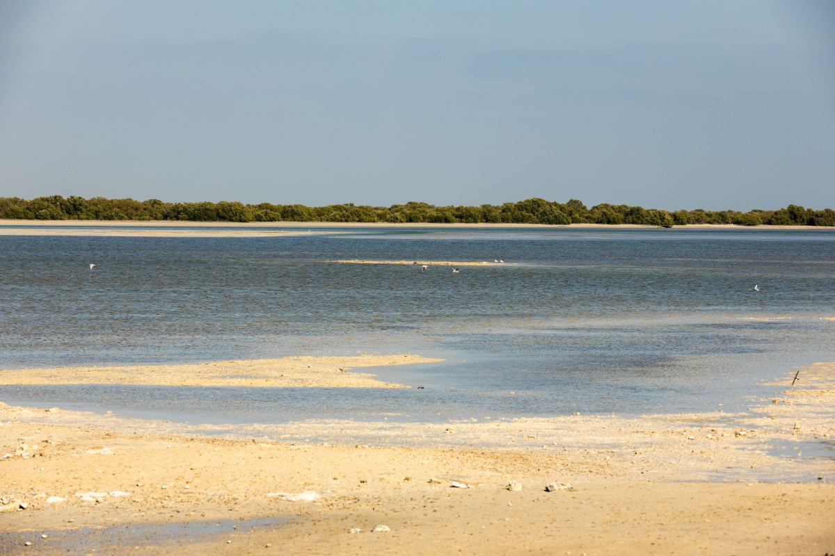 Pláž Al Dhakira Beach v Kataru