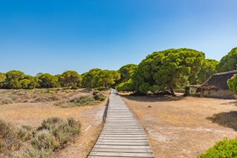 Costa de la Luz, národní park Doñana