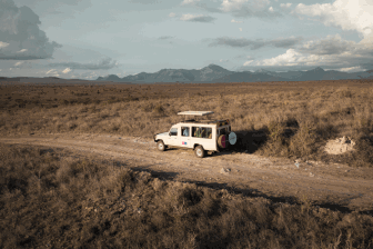 Keňa, safari