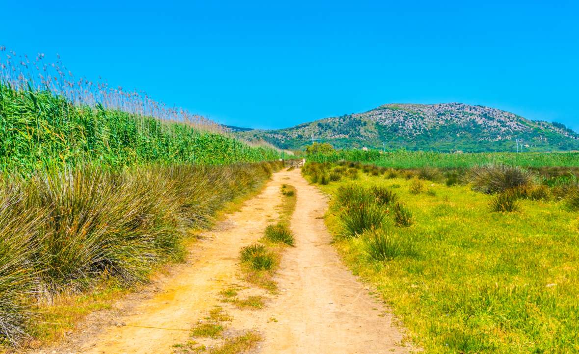 Příroda v národním parku Albufera na Mallorce.