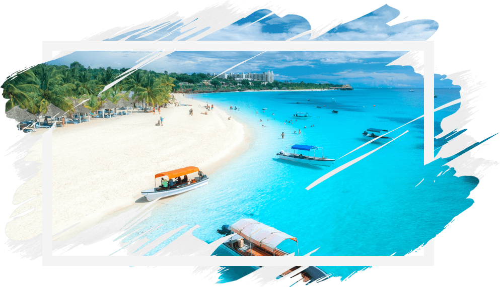 Zanzibar, delfíni