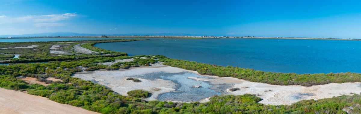 Delta řeky Ebro na Costa Dorda