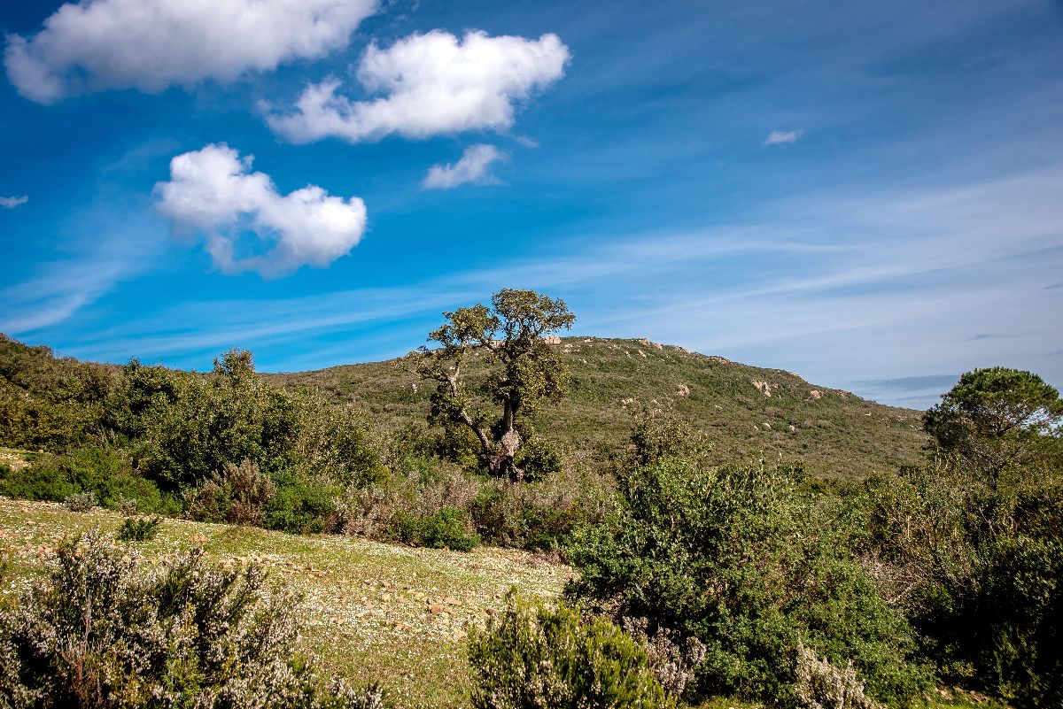 Jebel Chitana-Cap Négro