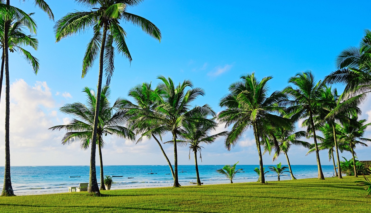 Počasí v Keni je proměnlivé, pro dovolenou doporučujeme leden, únor, červenec a srpen