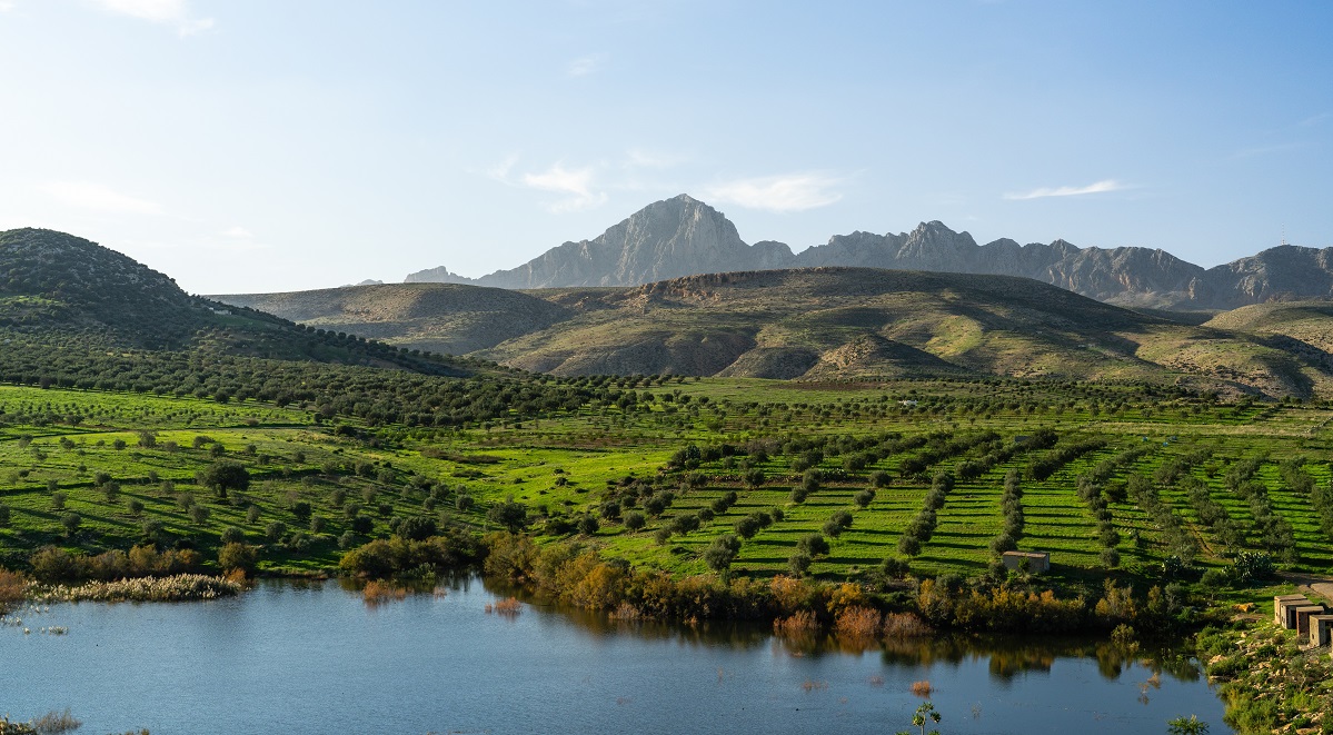 Krajina kolem města Zaghouan