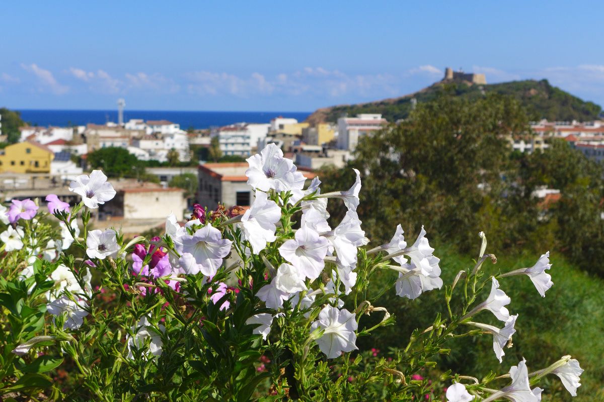 Zelená příroda Tabarky