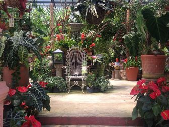 Jardín botánico de Vallarta, Jalisco, Mexiko