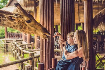 Zvířata v Zoobotánico Jerez