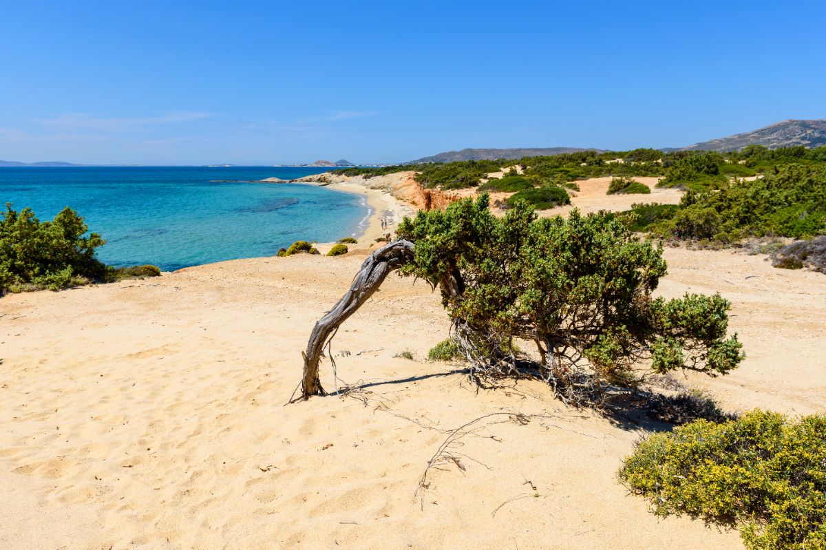 Přírodní rezervace Aliko