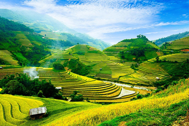 Vietnam, rýžové terasy