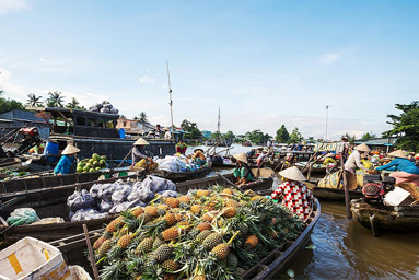 Vietnam, delta Mekongu