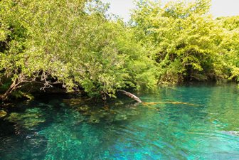 Laguna v přírodní rezervaci Ojos Indigenas