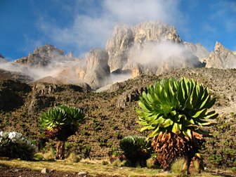 Mount Kenya