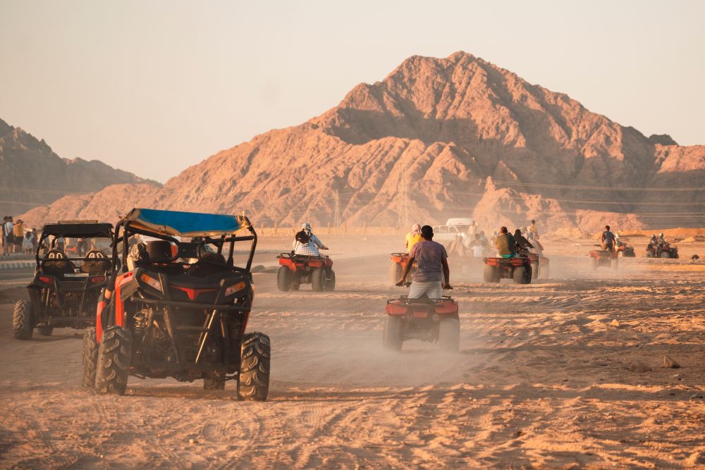 Bike Safari