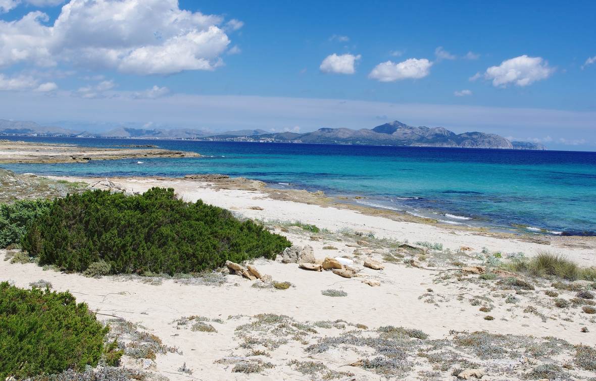 Typický pohled na krajinu Mallorcy, dlouhé pláže a divoké hory v pozadí.