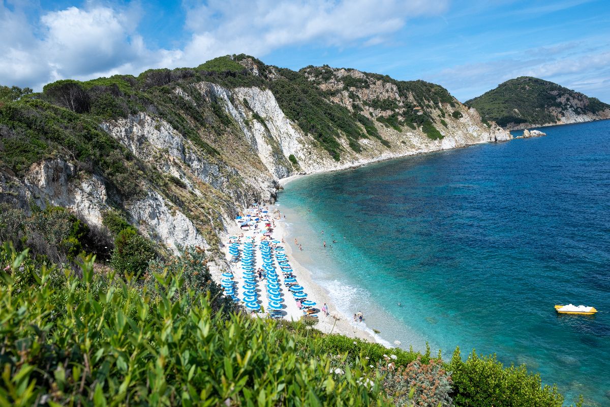 Sansone, Elba