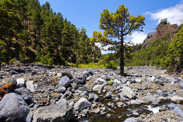 Caldera de Taburiente, La Palma