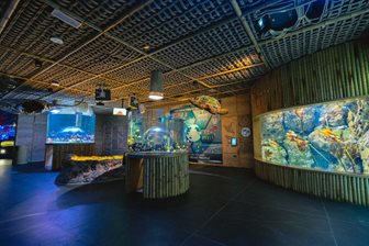 Expozice v National Aquarium Abu Dhabi