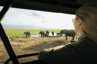 Keňa, safari