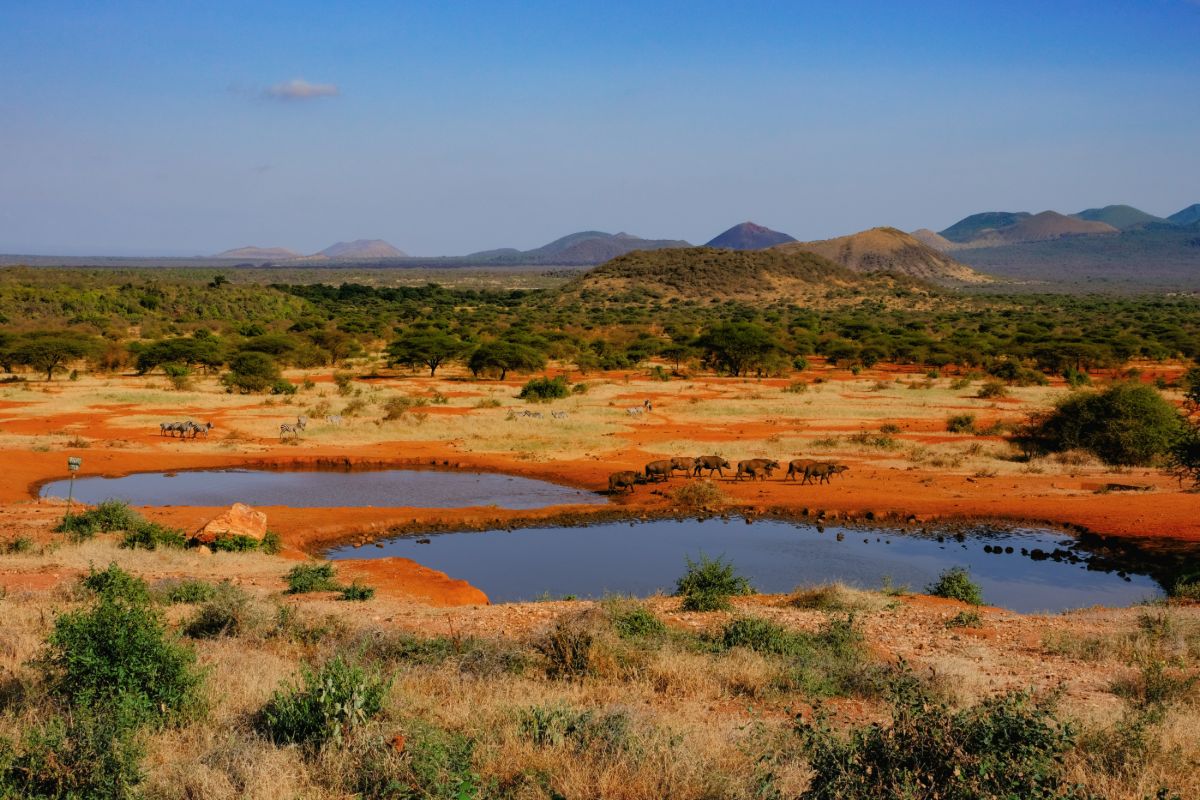 Krajina národního parku Tsavo West, Keňa Krajina národního parku Tsavo West, Keňa