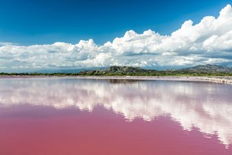 Růžové jezero