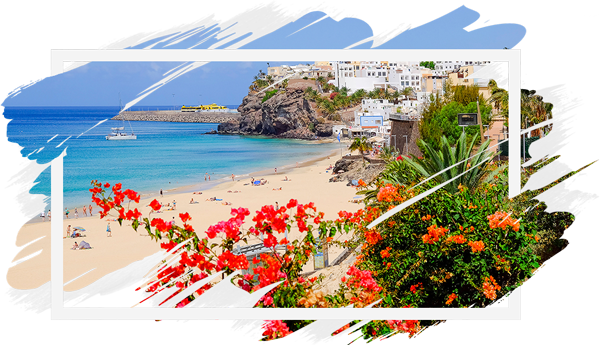 Květiny u Playa de Morro, Fuerteventura