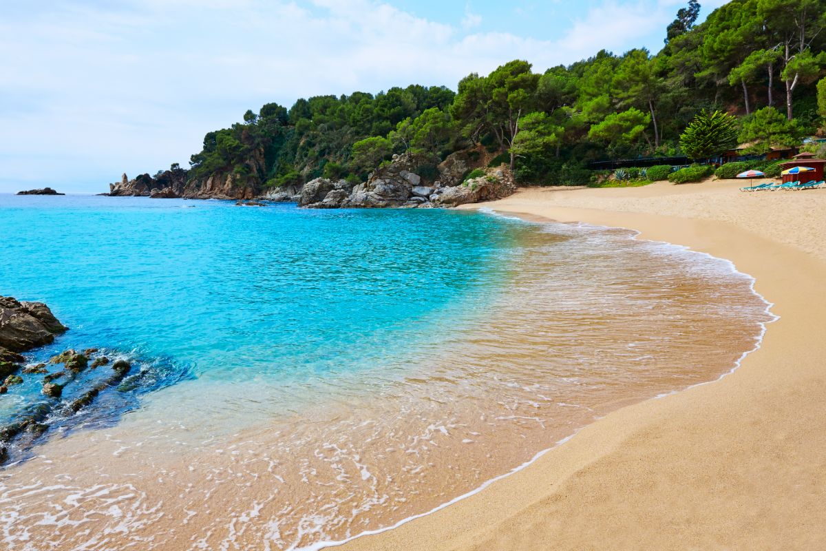 Cala Treumal, Costa Brava Cala Treumal, Costa Brava