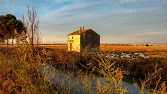 Krajina rezervace Albufera de Valencia