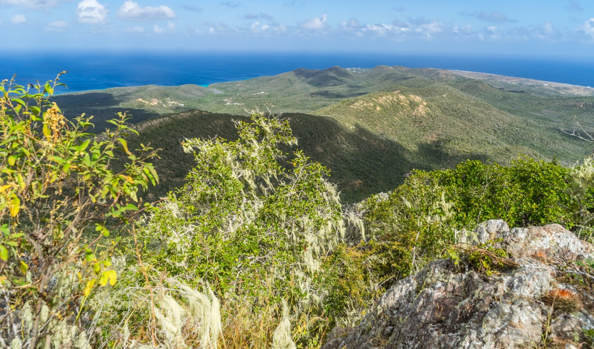 Nejvyšší vrchol Curaçaa je Mount Christoffelberg.