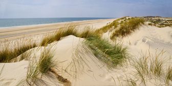 Písečné duny v národním parku