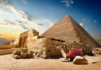 Pyramidy v Gíze, velbloud