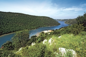 Limski fjord na Istrii s typickým rostlinstvem na okolních svazích Limski-fjord-na-Istrii.jpg