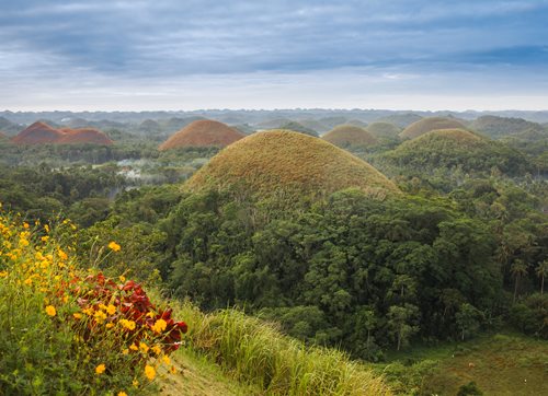 Bohol 2536-W-Bohol-2.jpg