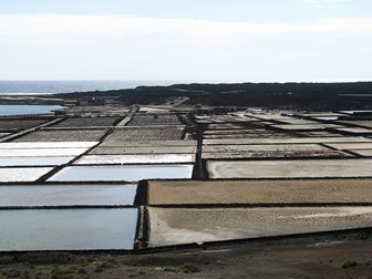 Salinas de Janubio