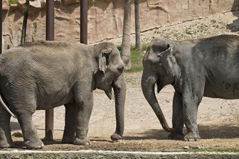 Terra Natura