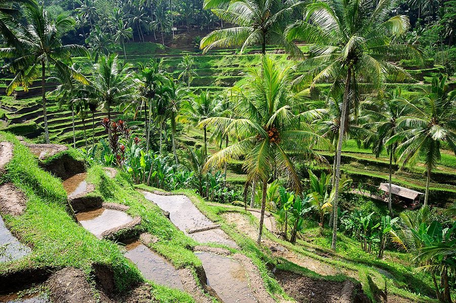 Bali, vnitrozemí Bali, vnitrozemí