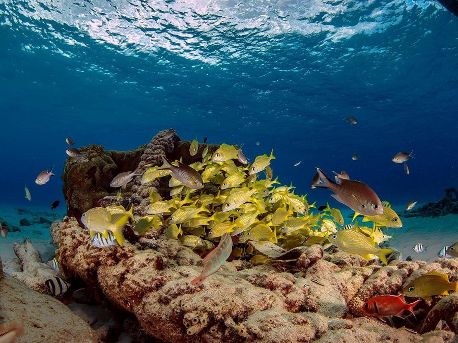 Curaçao, Kokomo beach Curaçao, Kokomo beach