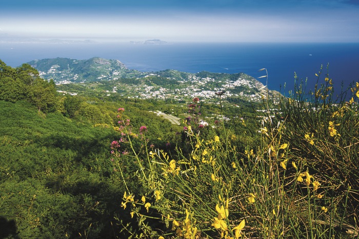 Ischia-Pohled-na-Ischii-z-nejvyssi-hory-Monte-Epomeo.jpg