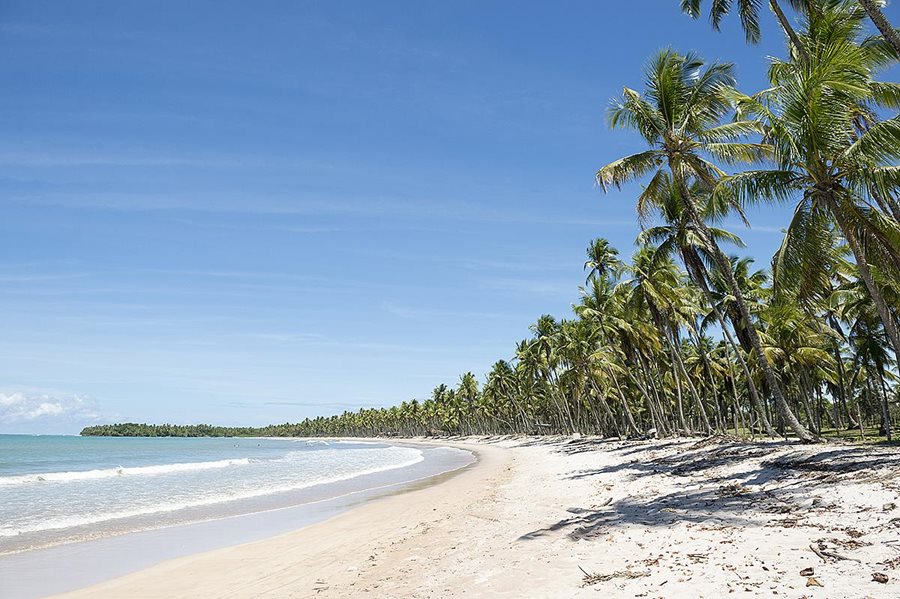 Brazílie, pláž v Bahia Brazílie, pláž v Bahia