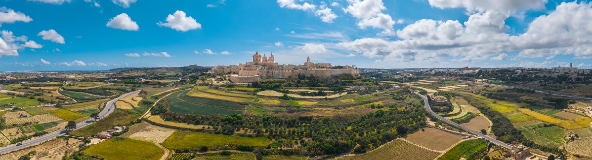 Panoramatický pohled na město Mdina
