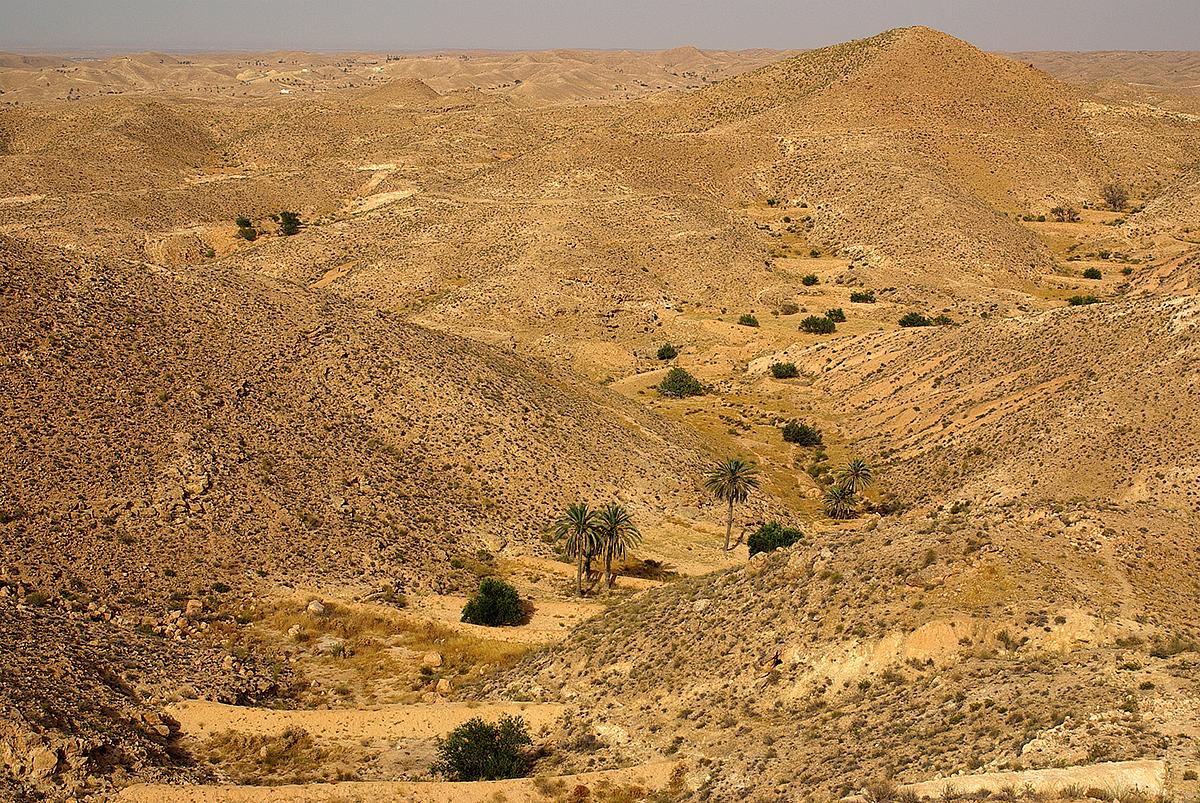 tunisko-djerba-7_1200x0.jpg.aspx?maxsidesize=1200%5Cu0026resizemode=force