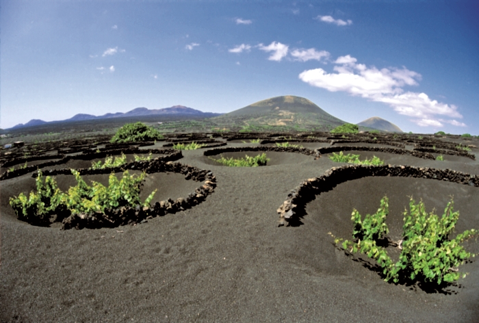 Spanelsko-08-Lanzarote-Lanzarote-je-na-prvni-pohled-sopecny-ostrov.jpg