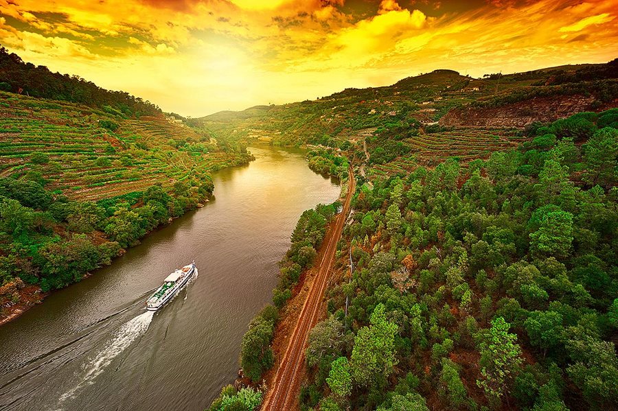 Portugalsko, vinohrady kolem řeky Douro Portugalsko, vinohrady kolem řeky Douro