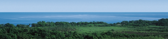 Azurovy-Atlantik-a-zelene-lesy,-to-jsou-Bahamy.jpg